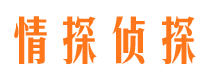 东宝市侦探调查公司